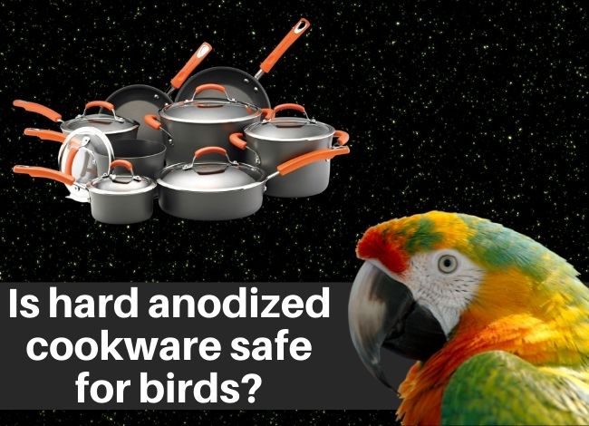 Is hard anodized cookware safe for birds
